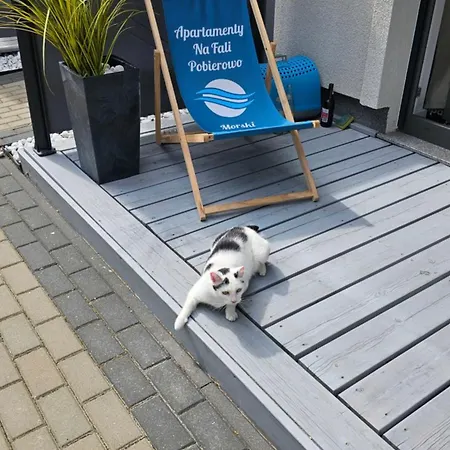 Na Fali - Morski , Blekity , Marynarski *